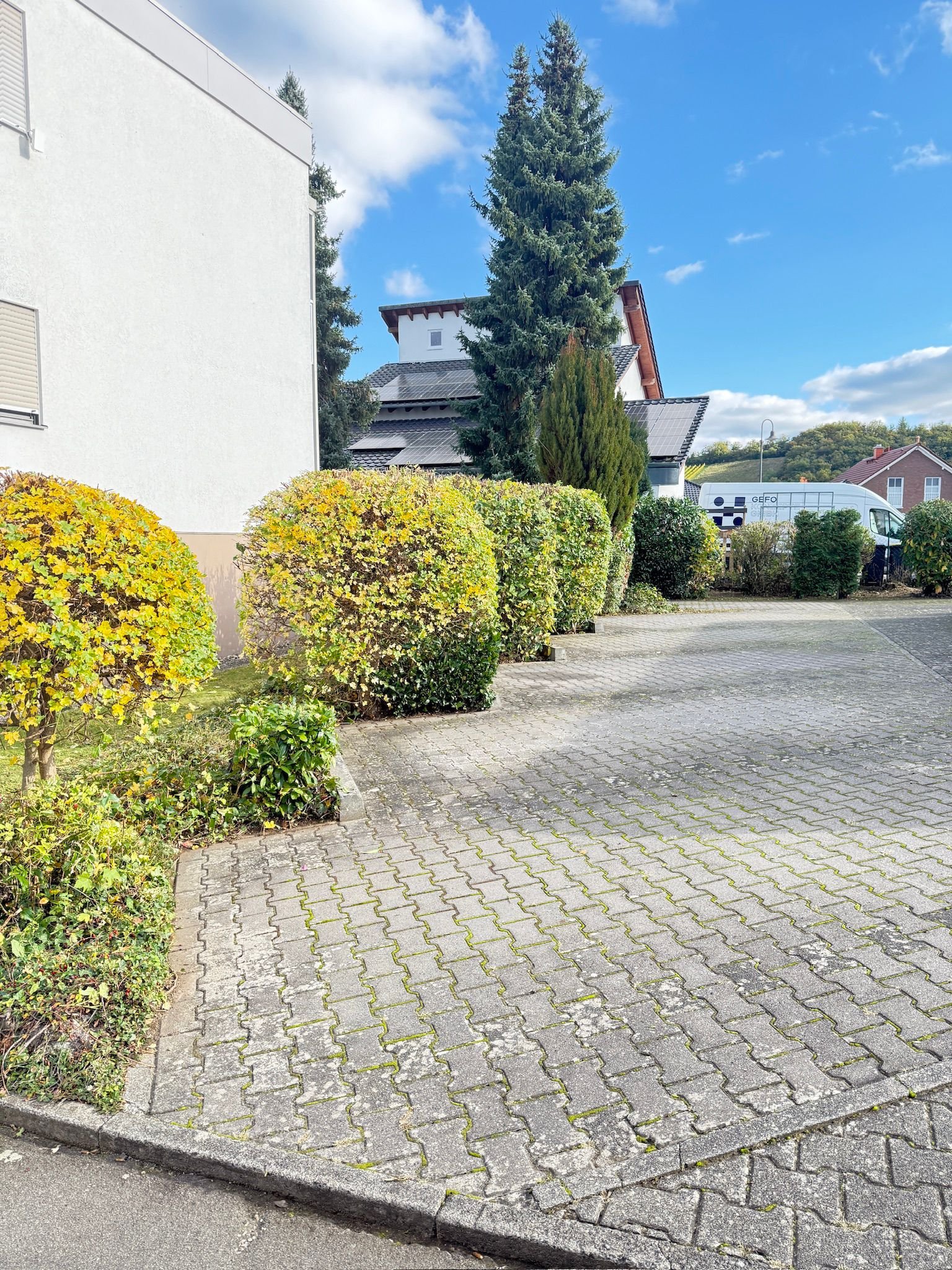 Professioneller Heckenschnitt