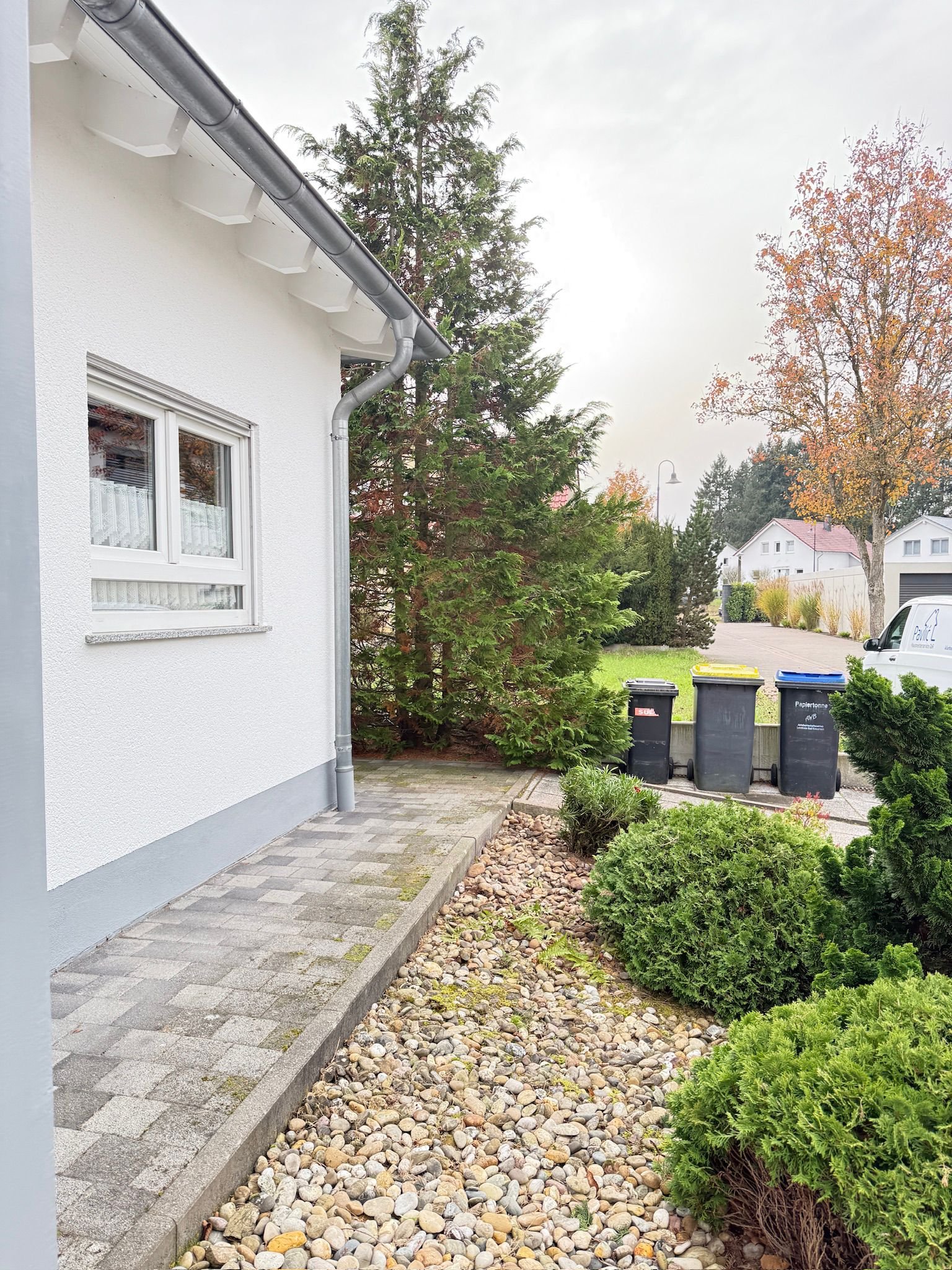 Baumfällung & Rückschnitt